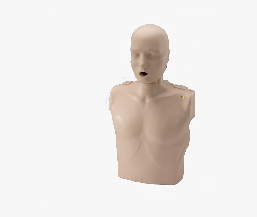 Cpr Dummy, HD Png Download, Free Download