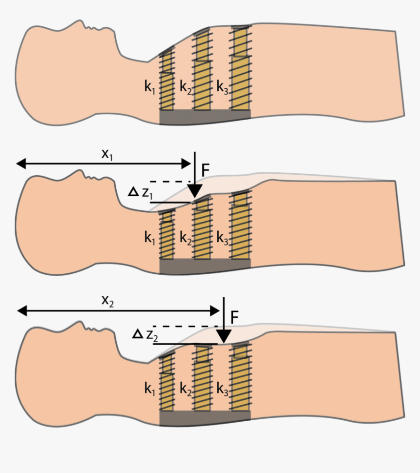 Cpr Shape Memory, HD Png Download, Free Download