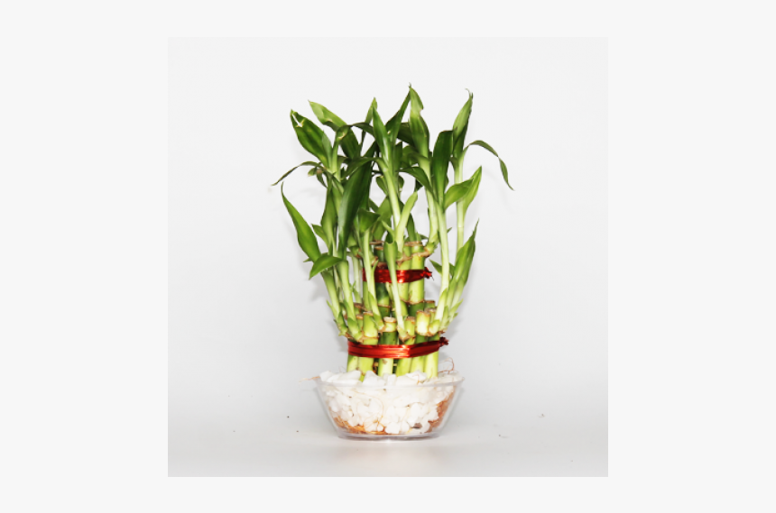 Office Desk Plant Png, Transparent Png, Free Download