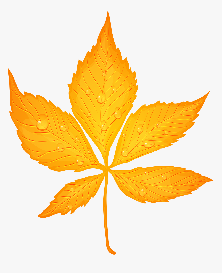 Yellow Autumn Leaf With Dew Drops Transparent Png Clip - Yellow Autumn Leaf Png, Png Download, Free Download