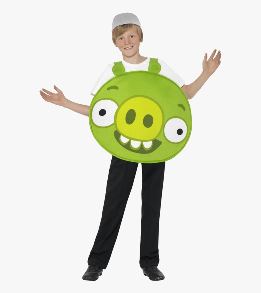 Diy Angry Birds Pig Costume, HD Png Download, Free Download