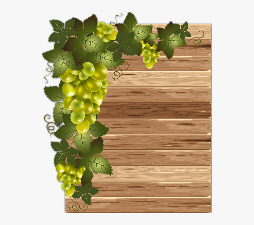 Green Grape Vine Draw, HD Png Download, Free Download