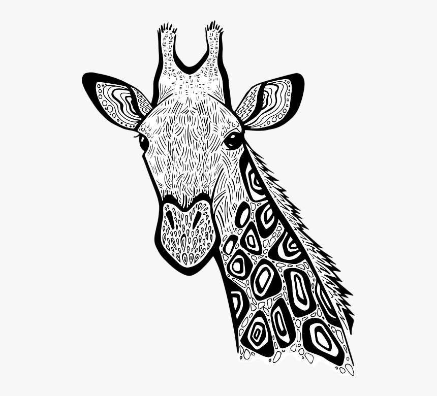 Giraffe Zentangle, HD Png Download, Free Download