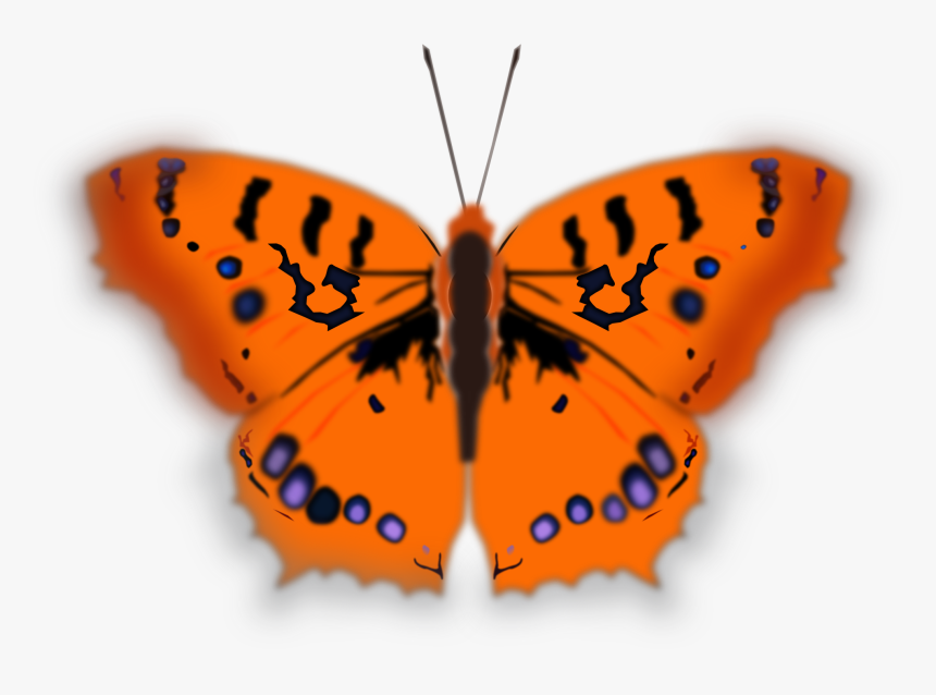 Clipart Butterfly Orange, HD Png Download, Free Download