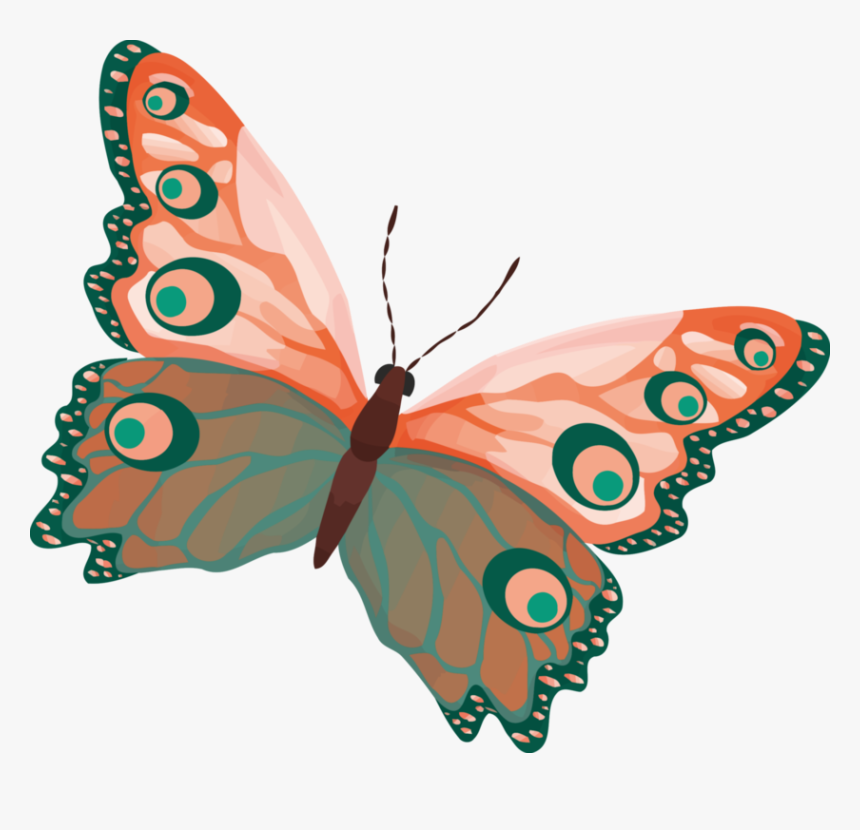 Butterfly,moth,fish - Colour Butterfly, HD Png Download, Free Download