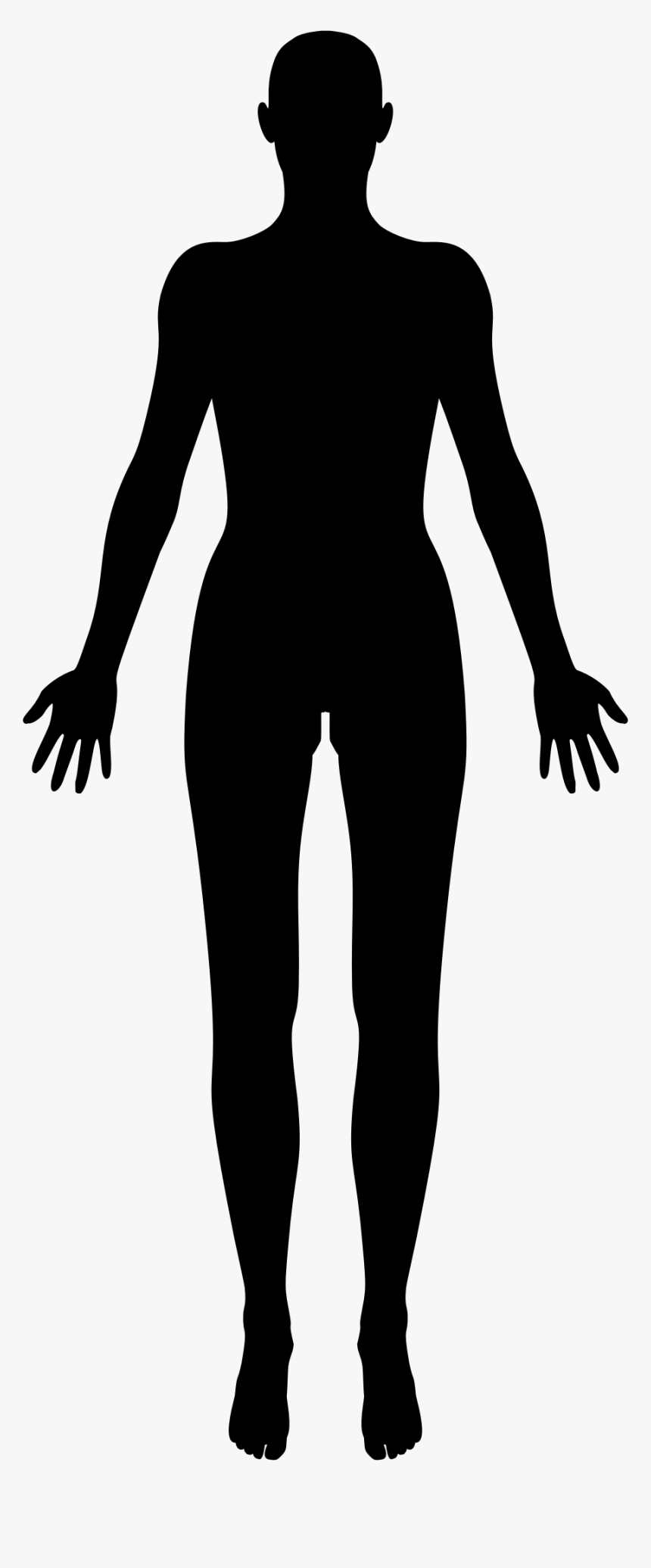 Female Body Shape Human Body Silhouette Clip Art - Female Human Body