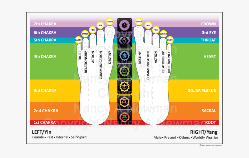 Toe Reading Chart, HD Png Download kindpng