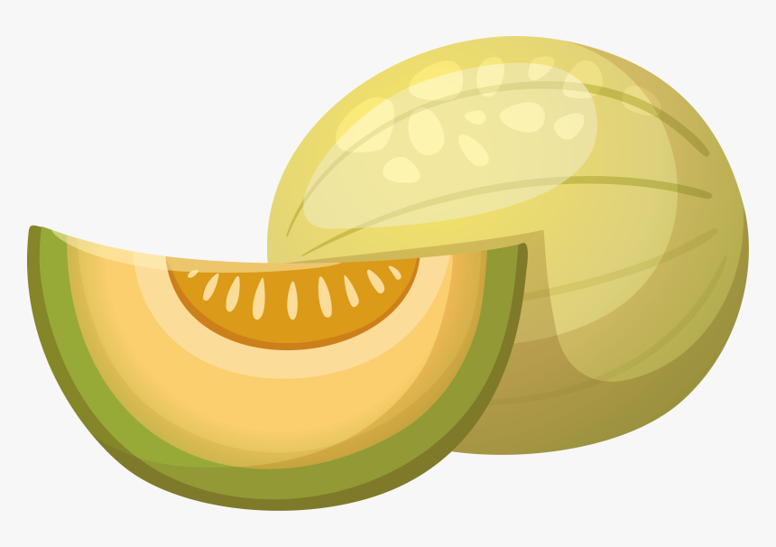 Vector Hami Fruit Fruits And Vegetables Transprent - Honey Dew Cartoon Png, Transparent Png, Free Download