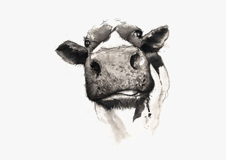 Download Watercolor Painting Drawing Cow Cattle Download Free Svg Not Today Heifer Hd Png Download Kindpng