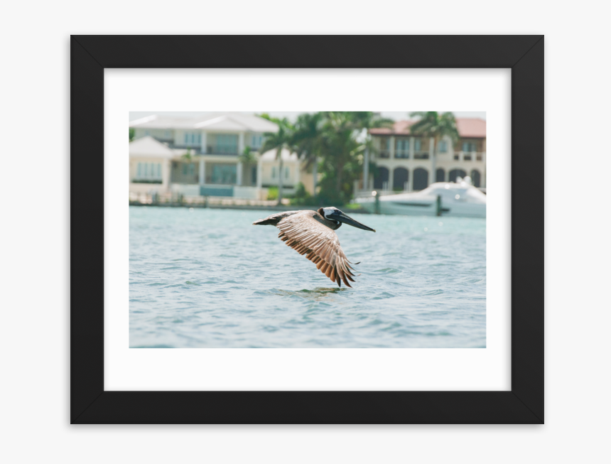 Untitled Mockup Transparent Transparent (1) - Great Blue Heron, HD Png Download, Free Download