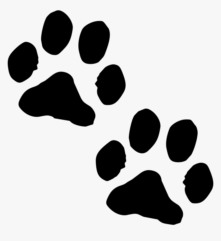 犬 の 足跡 透明 背景, HD Png Download - kindpng