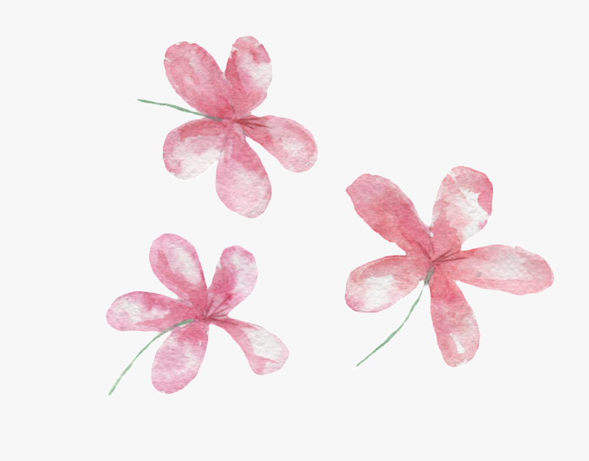 Pink Hand Painted Small Flower Transparent - Cooktown Orchid, HD Png Download, Free Download