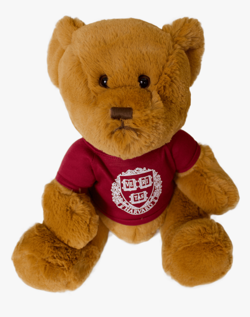 Large Harvard Teddy Bear - Teddy Bear, HD Png Download, Free Download