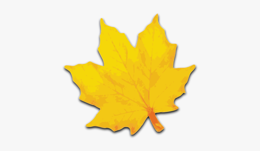 Maple Leaf Clip Art, HD Png Download, Free Download