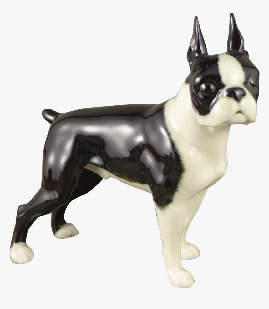 Boston Terrier, HD Png Download, Free Download