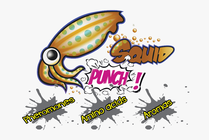 Squid Punch Logo - Squid Proxy, HD Png Download, Free Download