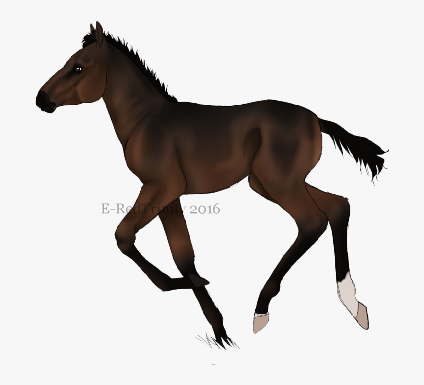 Mustang Pony Stallion Foal Silhouette - Foal, HD Png Download, Free Download