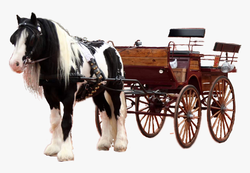 #horse #carriage #carriageride #gypsyvanner #sdpatiencedaddy - Cart, HD Png Download, Free Download