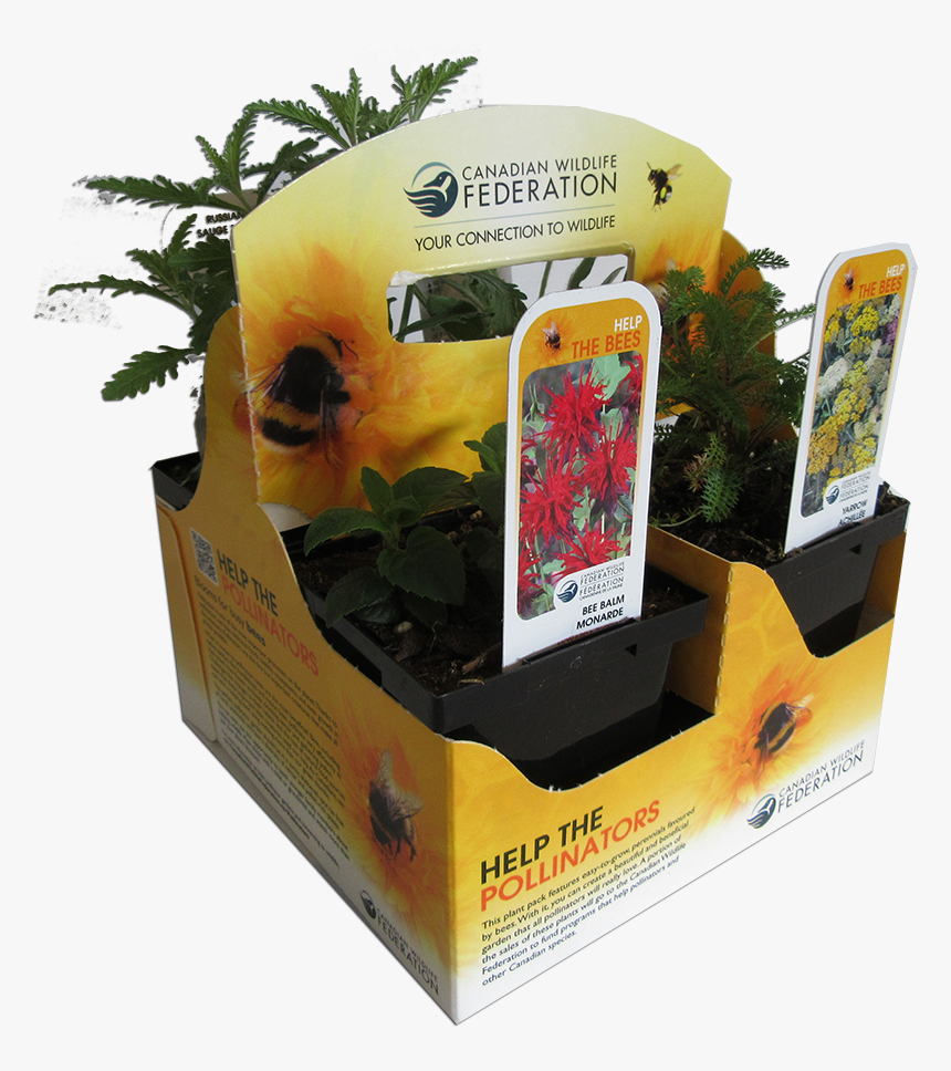 Bee Plant Pack - Canadian Wildlife Federation, HD Png Download, Free Download