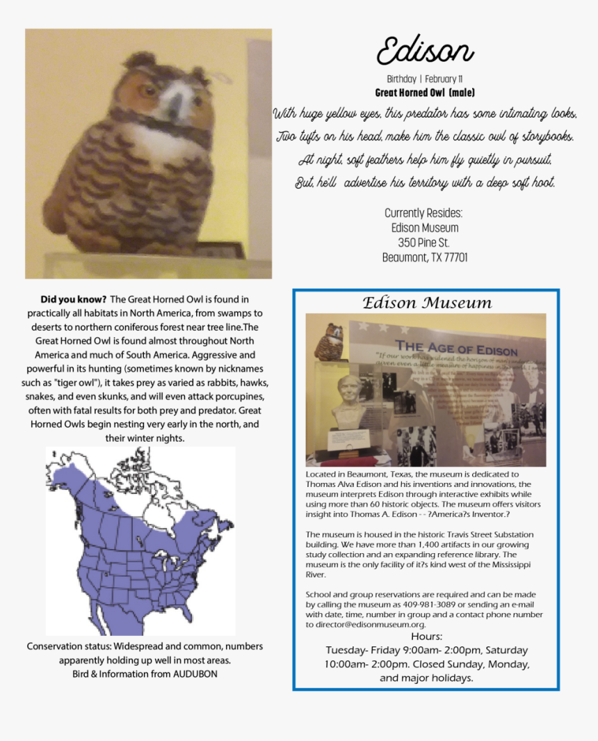 Great Horned Owl - Map, HD Png Download, Free Download