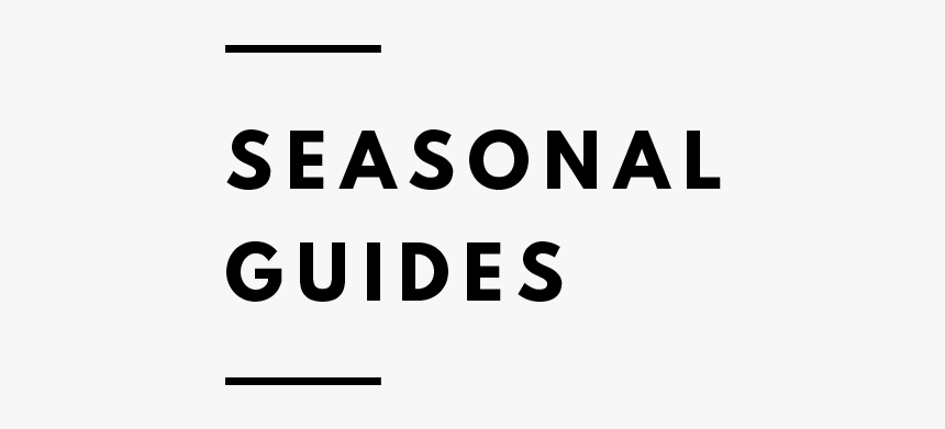 Botanical Folk Seasonal Guides - Term Condition Png, Transparent Png, Free Download