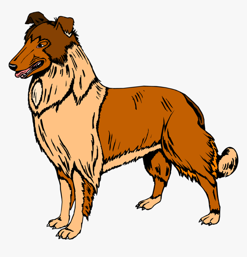 Collie Clipart Real Dog - Dog Clipart, HD Png Download, Free Download