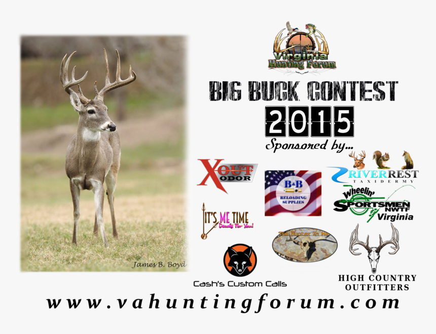 Vahfcontest2 ] - Deer Skull, HD Png Download, Free Download