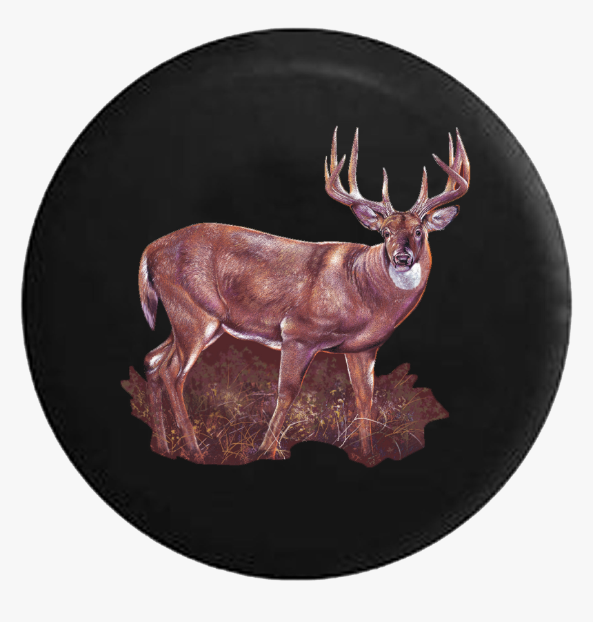 Big Brown Deer Buck With Big Rack In The Woods Rv Camper, HD Png Download, Free Download