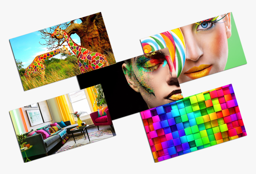 Collage, HD Png Download, Free Download