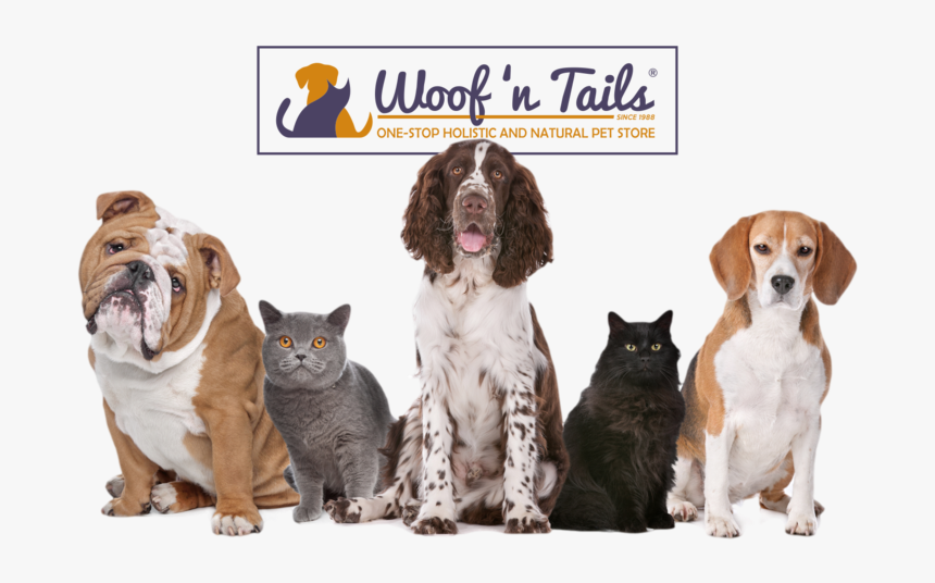 Woof N Tails Background9, HD Png Download, Free Download