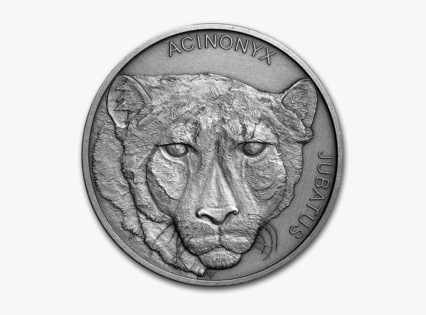 Quarter, HD Png Download - kindpng