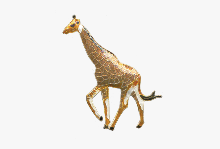 Giraffe, HD Png Download, Free Download