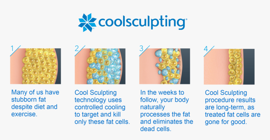 Coolsculpting, HD Png Download, Free Download