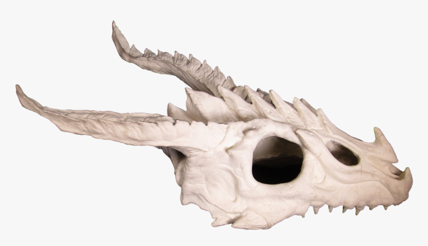 Dragon Skull, HD Png Download, Free Download