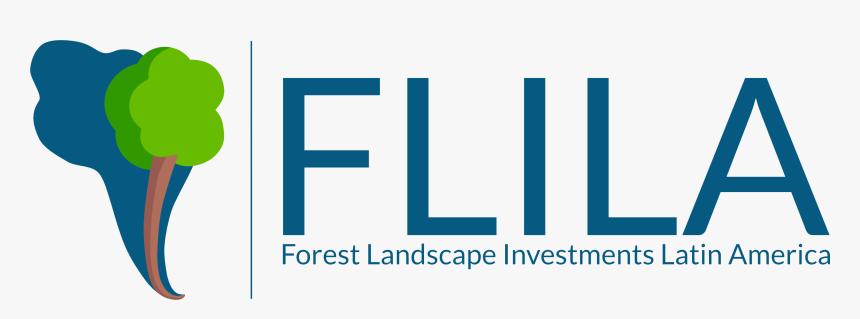 Forest Landscape Investments In Latin America - Graphic Design, HD Png Download, Free Download