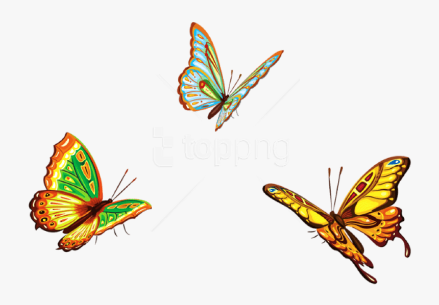 Free Png Three Butterfliespicture Png Images Transparent - Butterflies Png, Png Download, Free Download