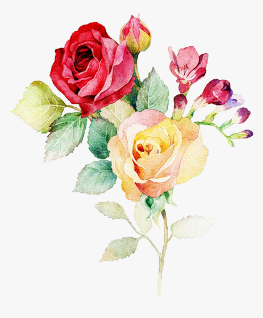 Rose floral. Роза акварель. Акварельные цветы на белом фоне. Роза акварель на белом фоне. Роза иллюстрация.