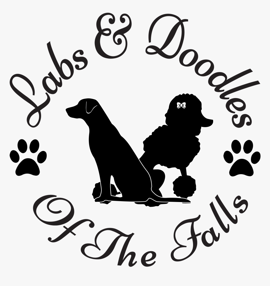 Labs And Doodles Of The Falls - Poodle, HD Png Download, Free Download