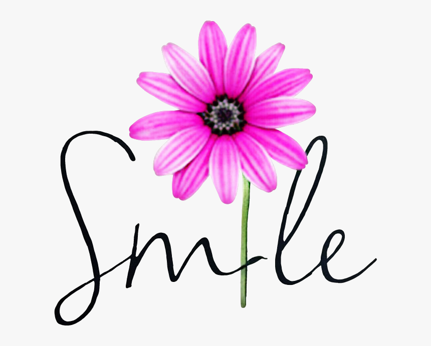 Smile Hellospring Hello Springflowers Springtime Spring, HD Png Download, Free Download