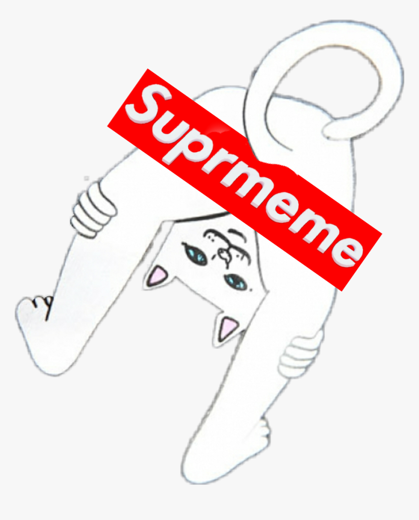 Supreme Ripndipcat Cat Ripndip Meme Memezasf Ripndip Meme Hd Png Download Kindpng