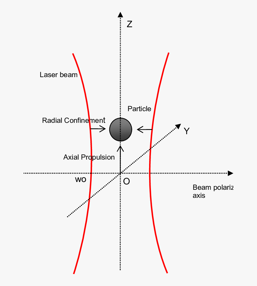 Diagram, HD Png Download, Free Download