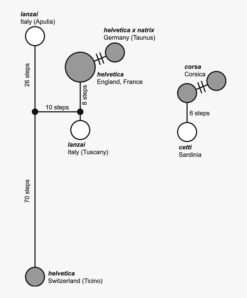 Diagram, HD Png Download, Free Download