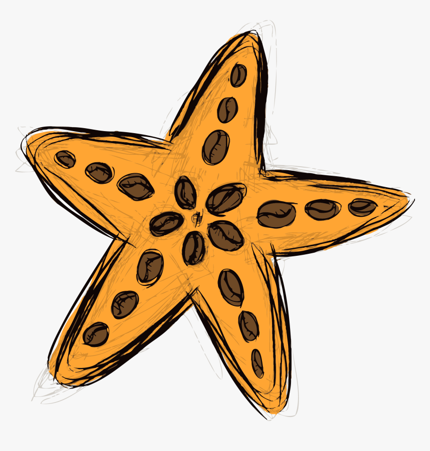 Estrella Cafe Png, Transparent Png, Free Download