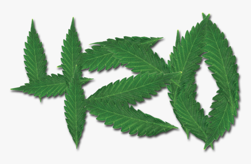 420 Merchandise - 420, HD Png Download, Free Download