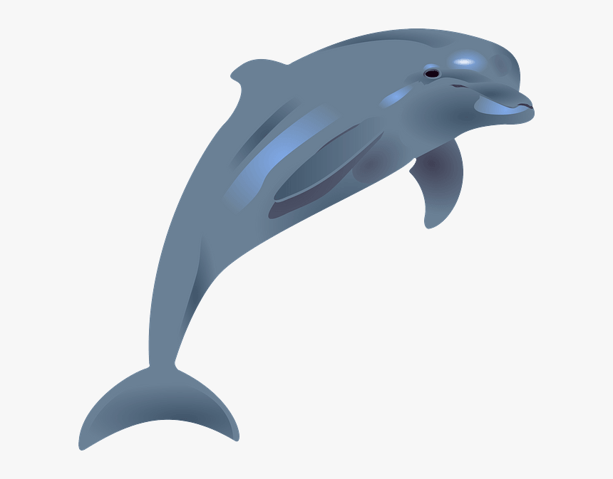 Cartoon Dolphin Clipart - Transparent Dolphin Clipart, HD Png Download, Free Download