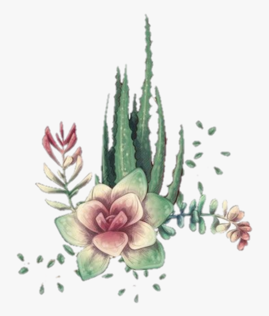 #sabila # Suculenta - Marco De Cactus, HD Png Download, Free Download