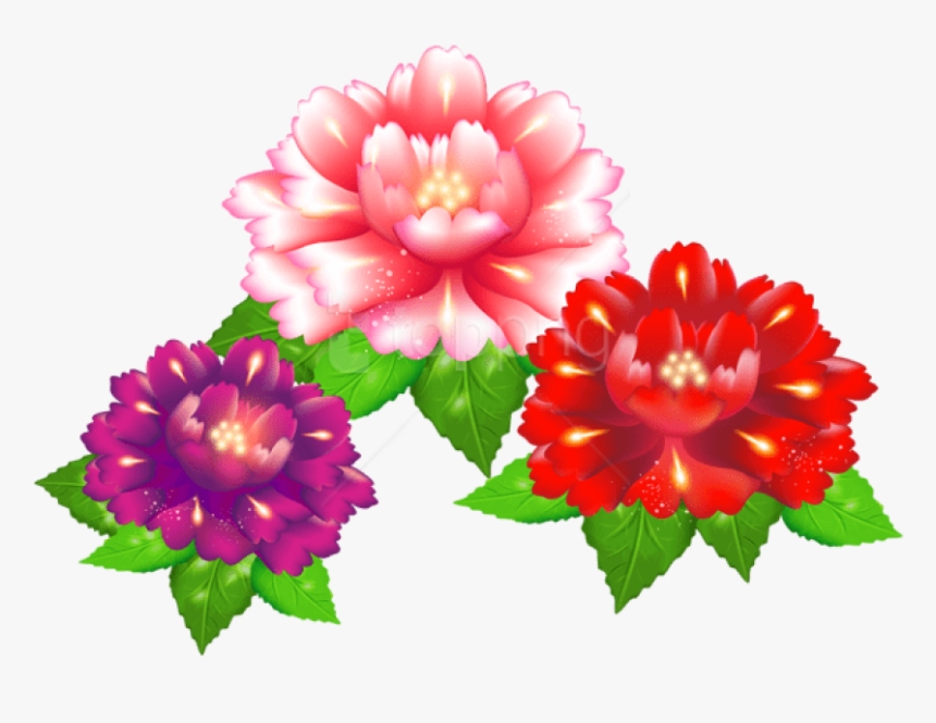 Download Exotic Flowers Png Images Background - Portable Network Graphics, Transparent Png, Free Download