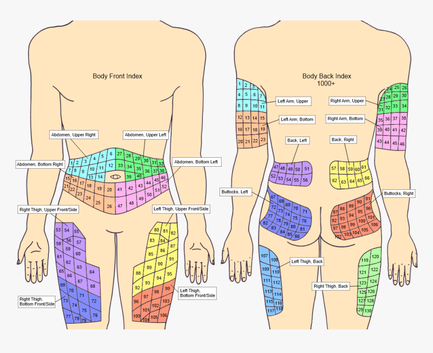 Injection Sites Index - Insulin Rotation Sites Chart, HD Png Download, Free Download