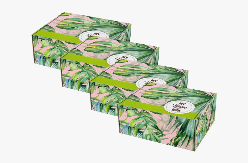 Palm Beach Box Subscription - Illustration, HD Png Download, Free Download