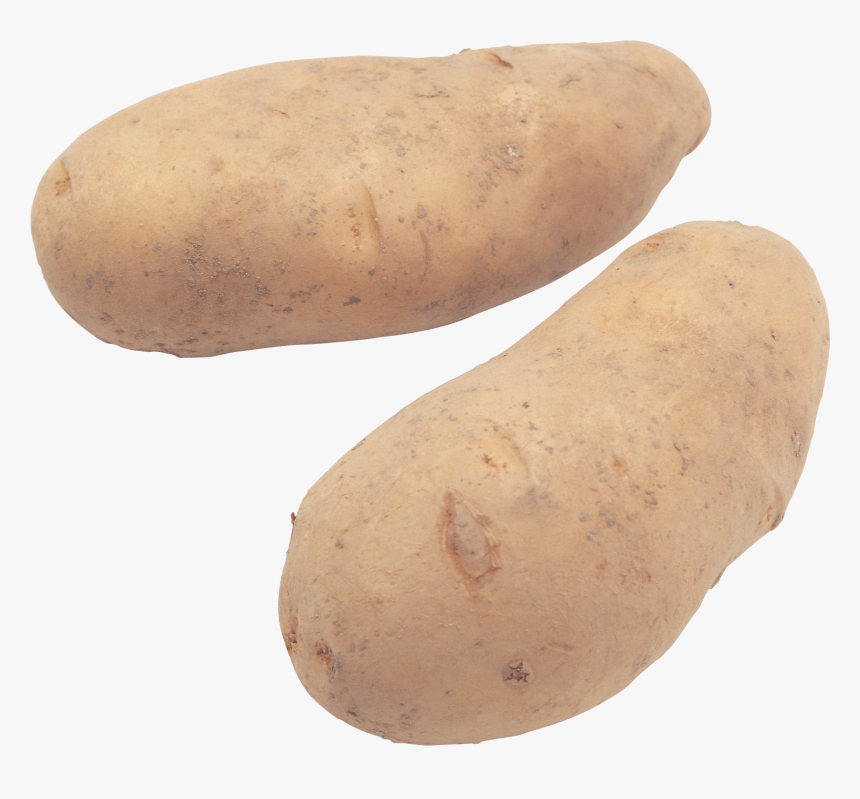 Potat With Transparent Background, HD Png Download, Free Download